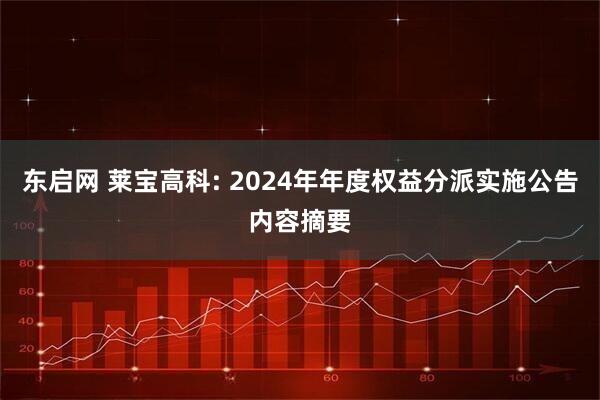 东启网 莱宝高科: 2024年年度权益分派实施公告内容摘要