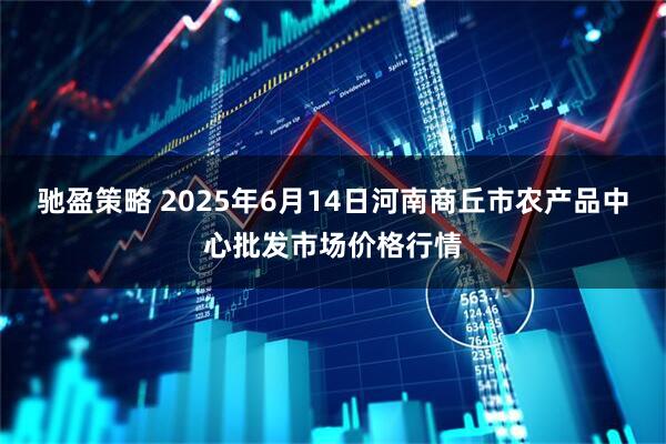 驰盈策略 2025年6月14日河南商丘市农产品中心批发市场价格行情