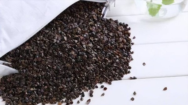 易云达 荞麦枕、乳胶枕、记忆棉枕，哪种更舒适看完便知